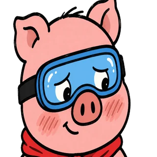 The pig blushing